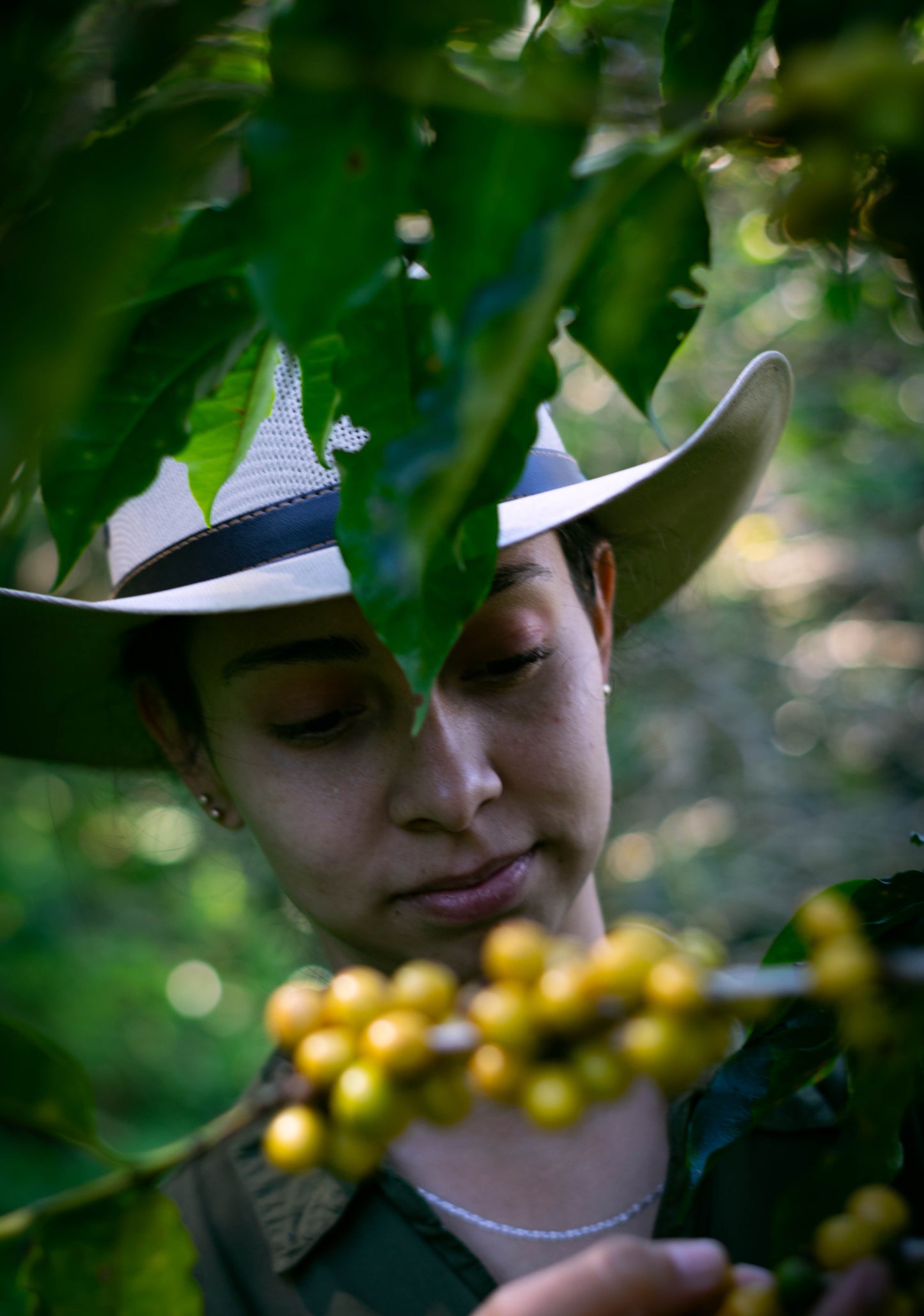 Guatemala single origin speciality coffee - farmer photo
