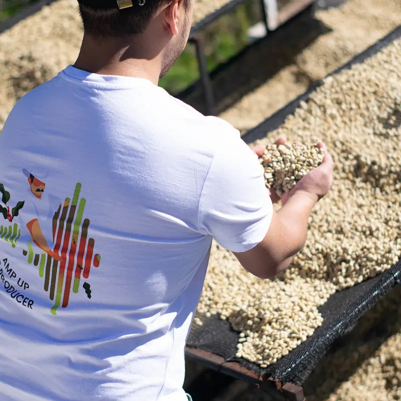 Guatemala single origin speciality coffee - farmer holding beans