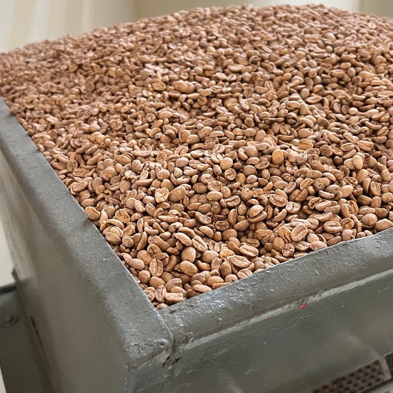 Colombia decaf speciality coffee - dry beans