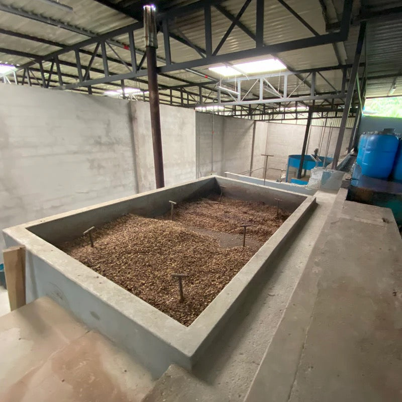 Colombia decaf speciality coffee -beans in mill