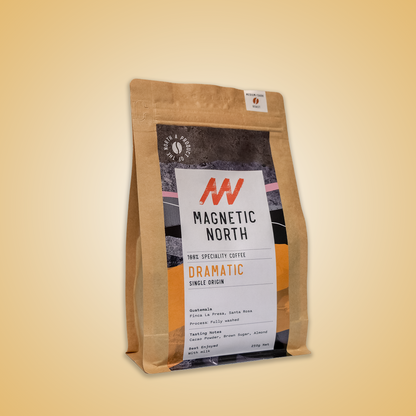 Magnetic North "Dramatic" kraft paper coffee bag on a yellow gradient background