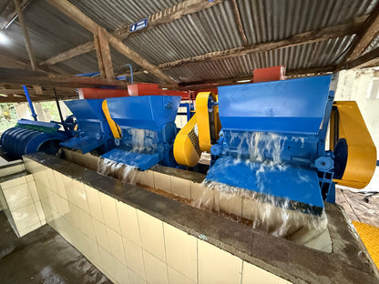 Blue and yellow coffee washing equipment in a warehouse setting