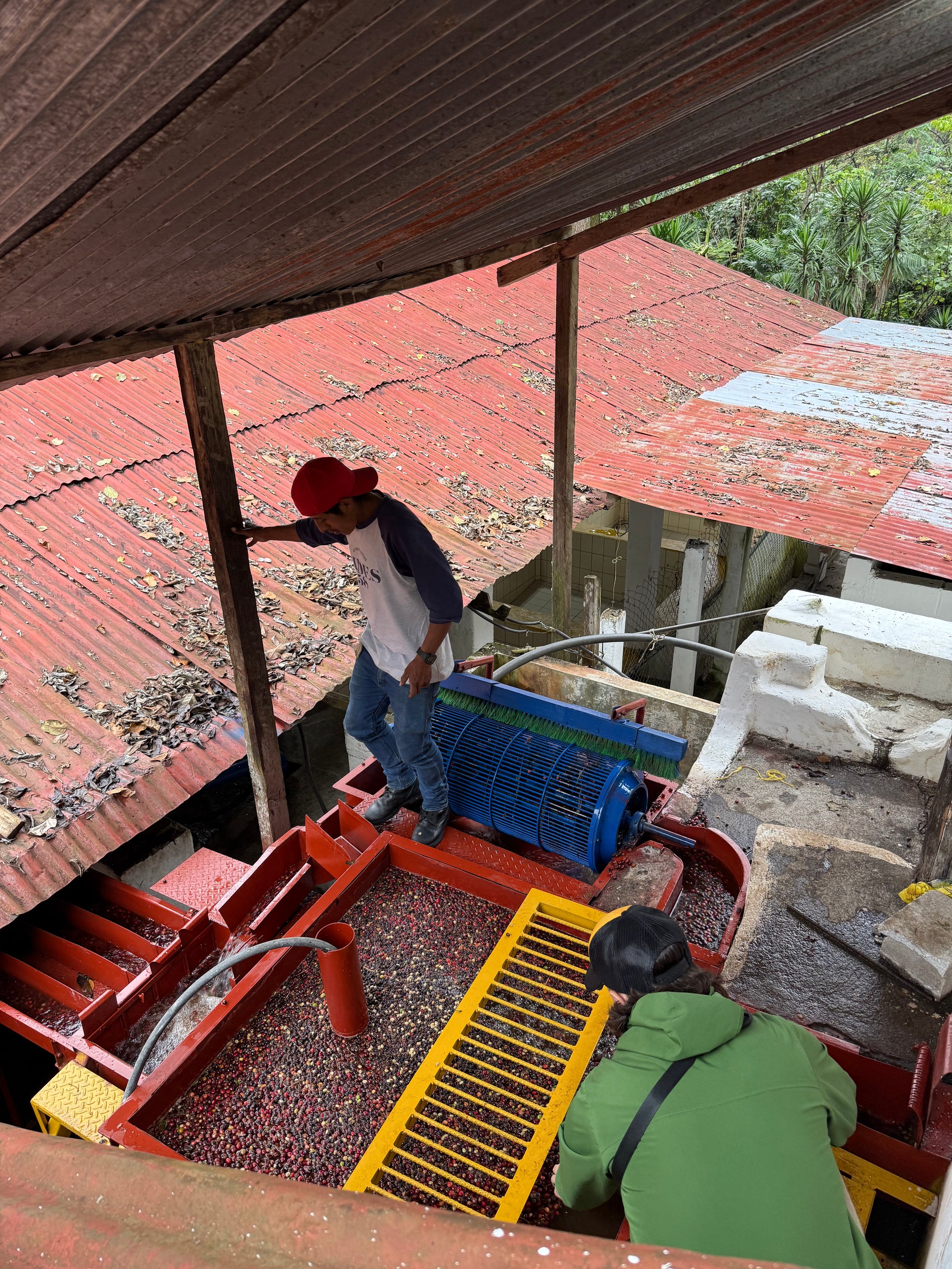 Two farmers working on a coffee mill and washing station processing coffee cherries