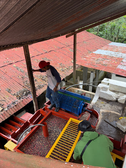 Two farmers working on a coffee mill and washing station processing coffee cherries